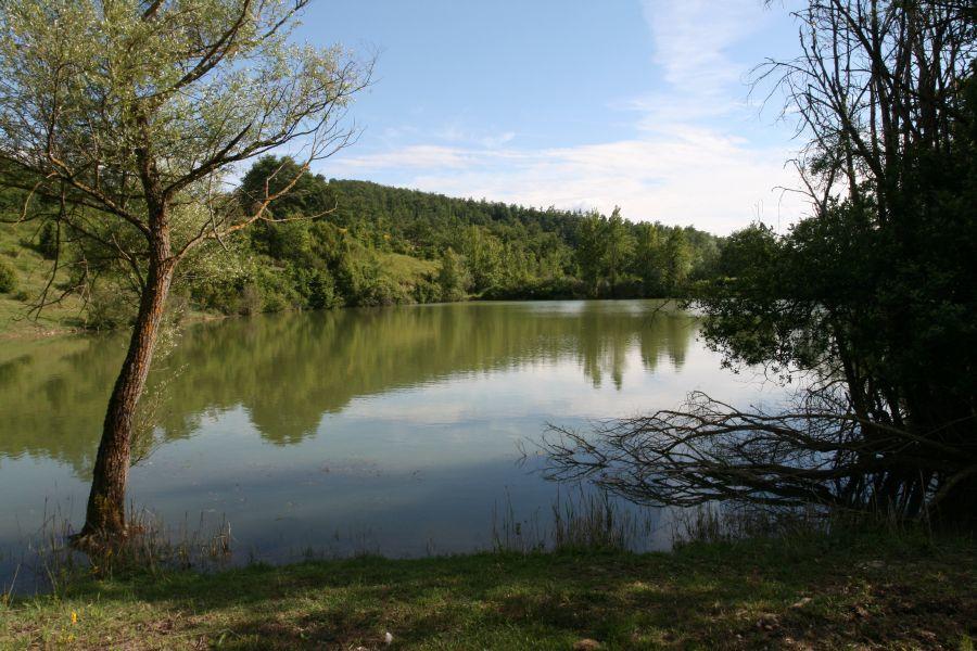 Agriturismo Oasi Verde Mengara Hotel Gubbio Eksteriør billede